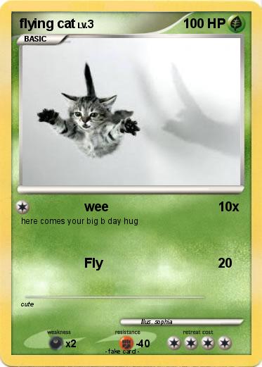 Pokemon flying cat