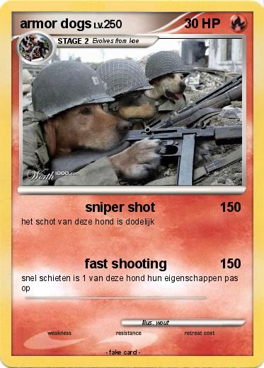 Pokemon armor dogs