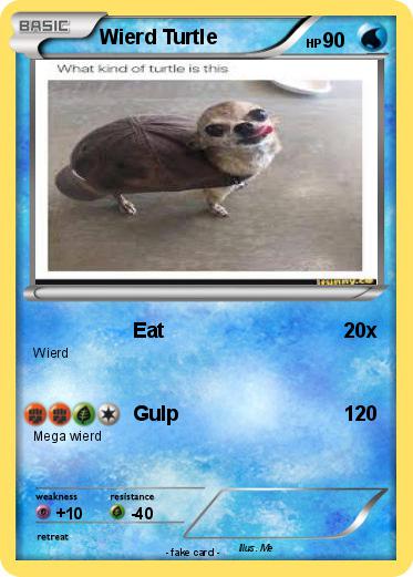 Pokemon Wierd Turtle