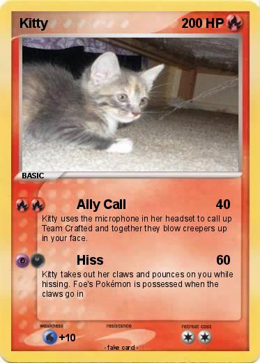 Pokemon Kitty