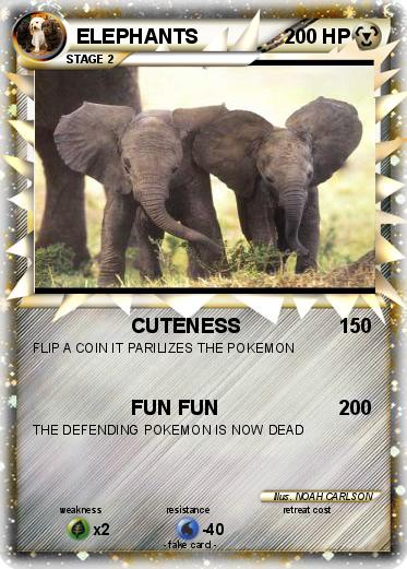 Pokemon ELEPHANTS