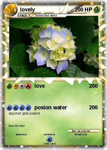 Pokemon lovely
