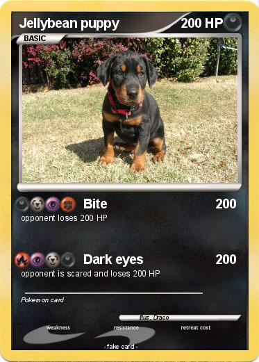 Pokemon Jellybean puppy