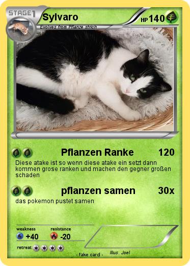 Pokemon Sylvaro