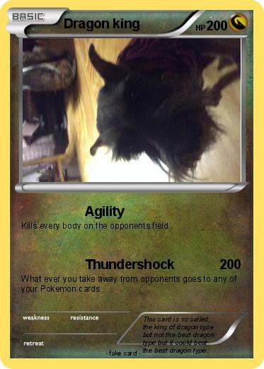 Pokemon Dragon king