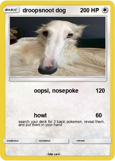 Pokemon droopsnoot dog