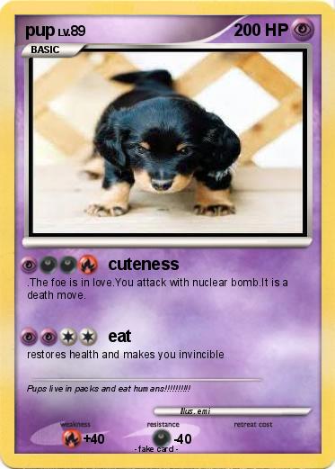Pokemon pup