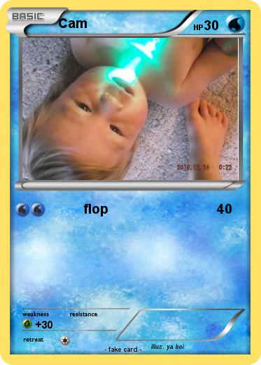 Pokemon Cam
