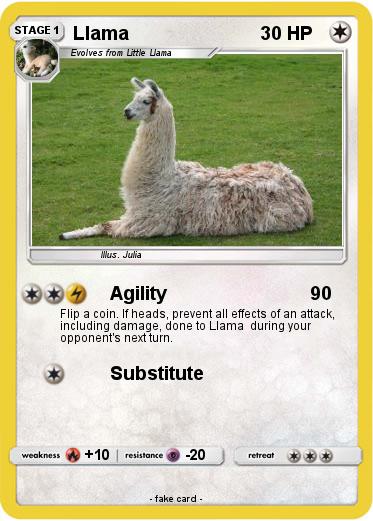 Pokemon Llama