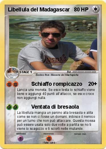 Pokemon Libellula del Madagascar