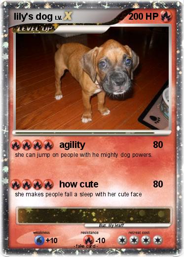 Pokemon lily's dog