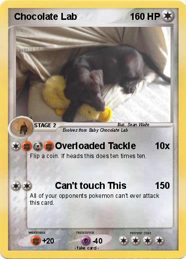 Pokemon Chocolate Lab