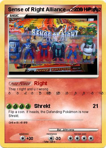 Pokemon Sense of Right Alliance