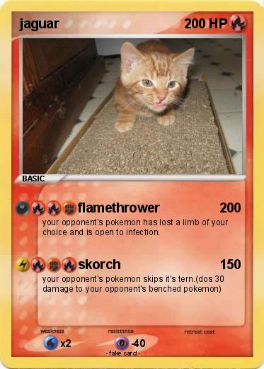 Pokemon jaguar