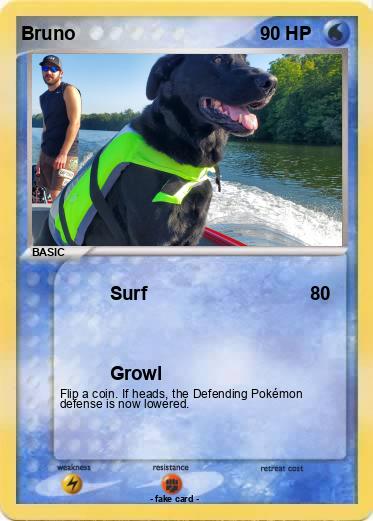 Pokemon Bruno