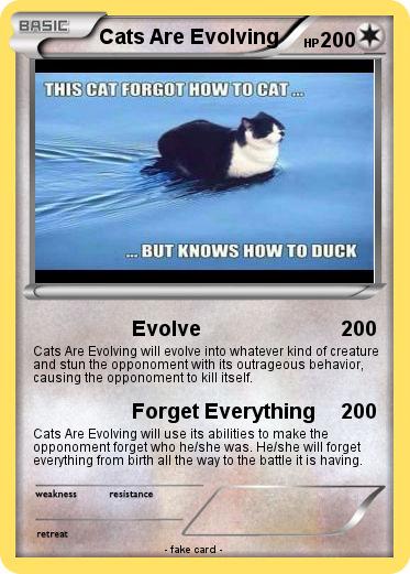 Pokemon Cats Are Evolving