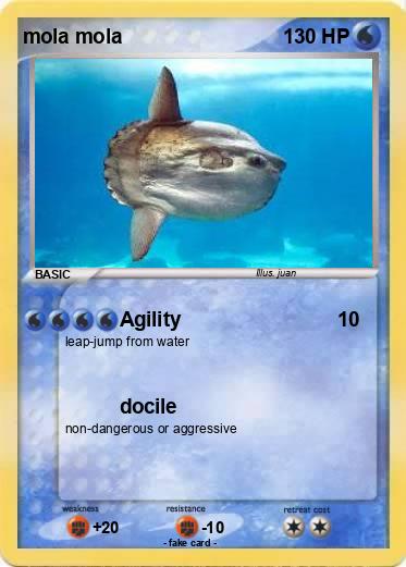 Pokemon mola mola