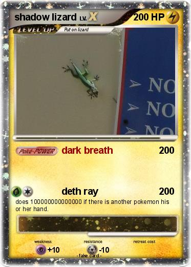 Pokemon shadow lizard