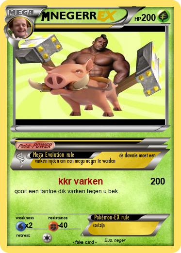 Pokemon NEGERR
