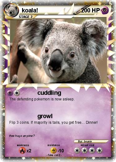 Pokemon koala!