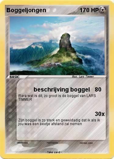 Pokemon Boggeljongen