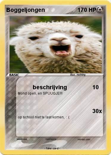 Pokemon Boggeljongen