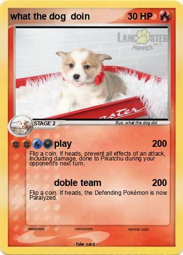 Pokemon what the dog  doin
