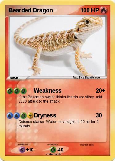 Pokemon Bearded Dragon