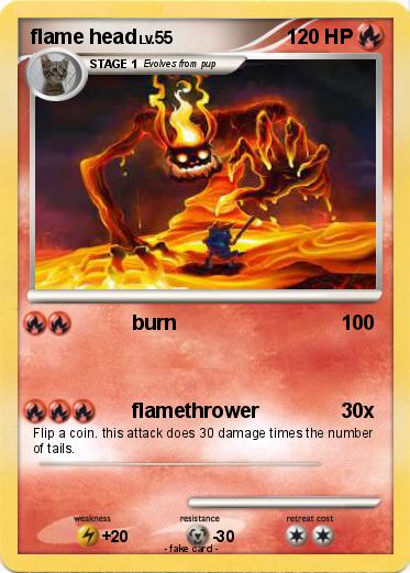 Pokemon flame head