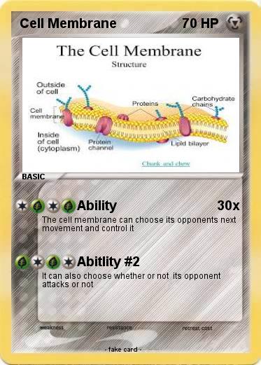 Pokemon Cell Membrane