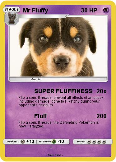 Pokemon Mr Fluffy