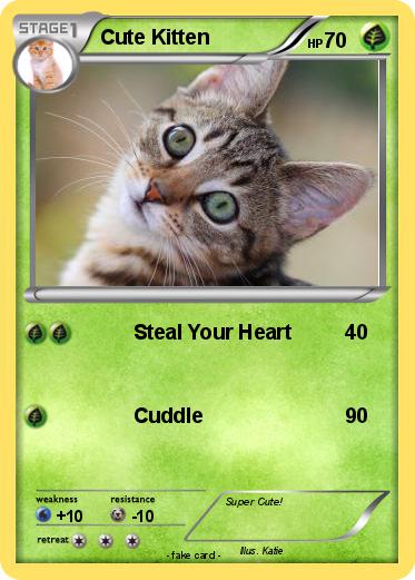 Pokemon Cute Kitten