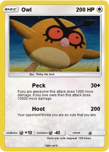 Pokemon Owl
