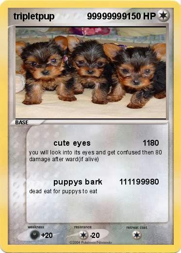 Pokemon tripletpup             99999999