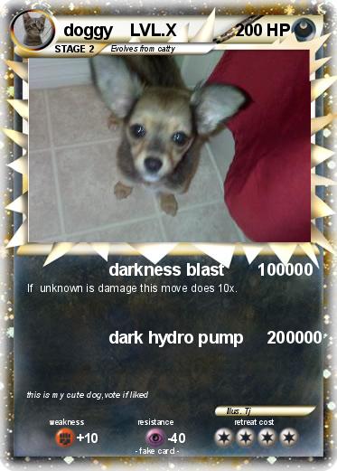 Pokemon doggy    LVL.X