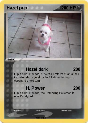 Pokemon Hazel pup