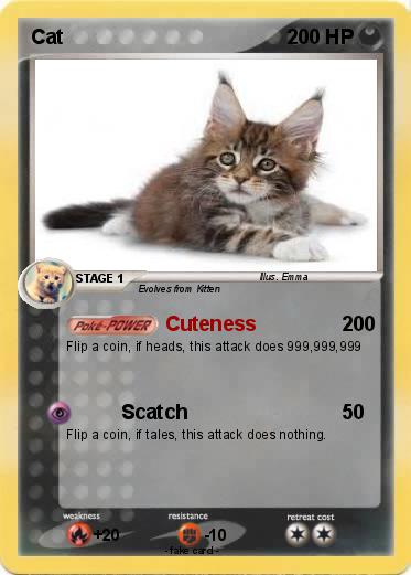 Pokemon Cat