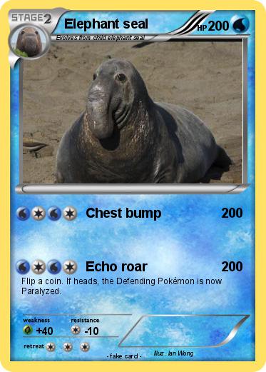Pokemon Elephant seal