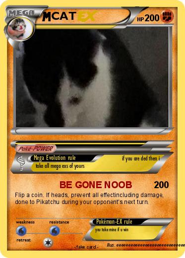 Pokemon CAT