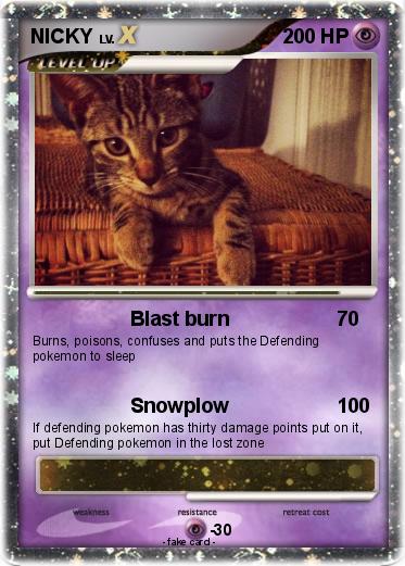Pokemon NICKY