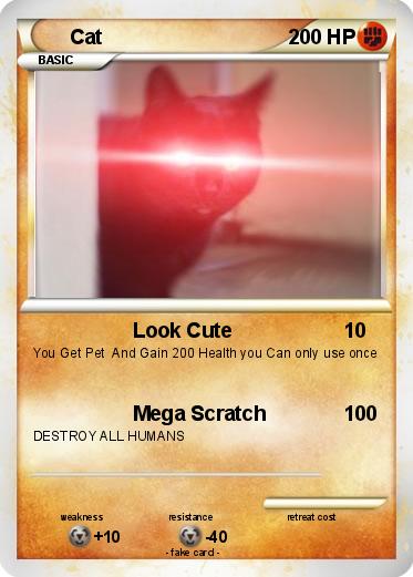Pokemon Cat