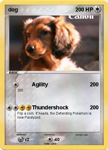 Pokemon dog