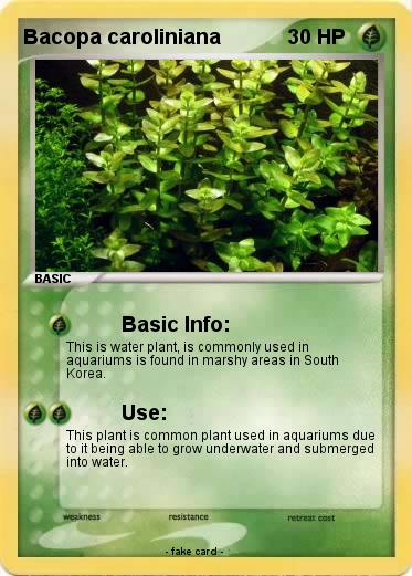 Pokemon Bacopa caroliniana