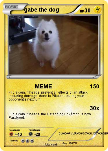 Pokemon gabe the dog