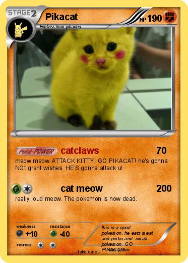 Pokemon Pikacat