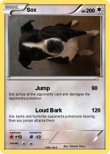 Pokemon Sox