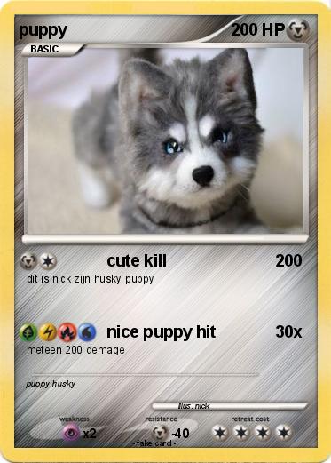 Pokemon puppy