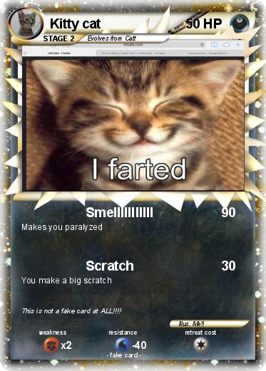 Pokemon Kitty cat
