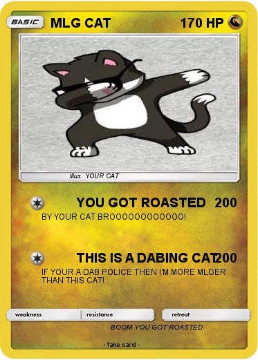 Pokemon MLG CAT