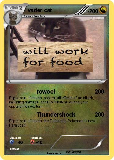 Pokemon vader cat
